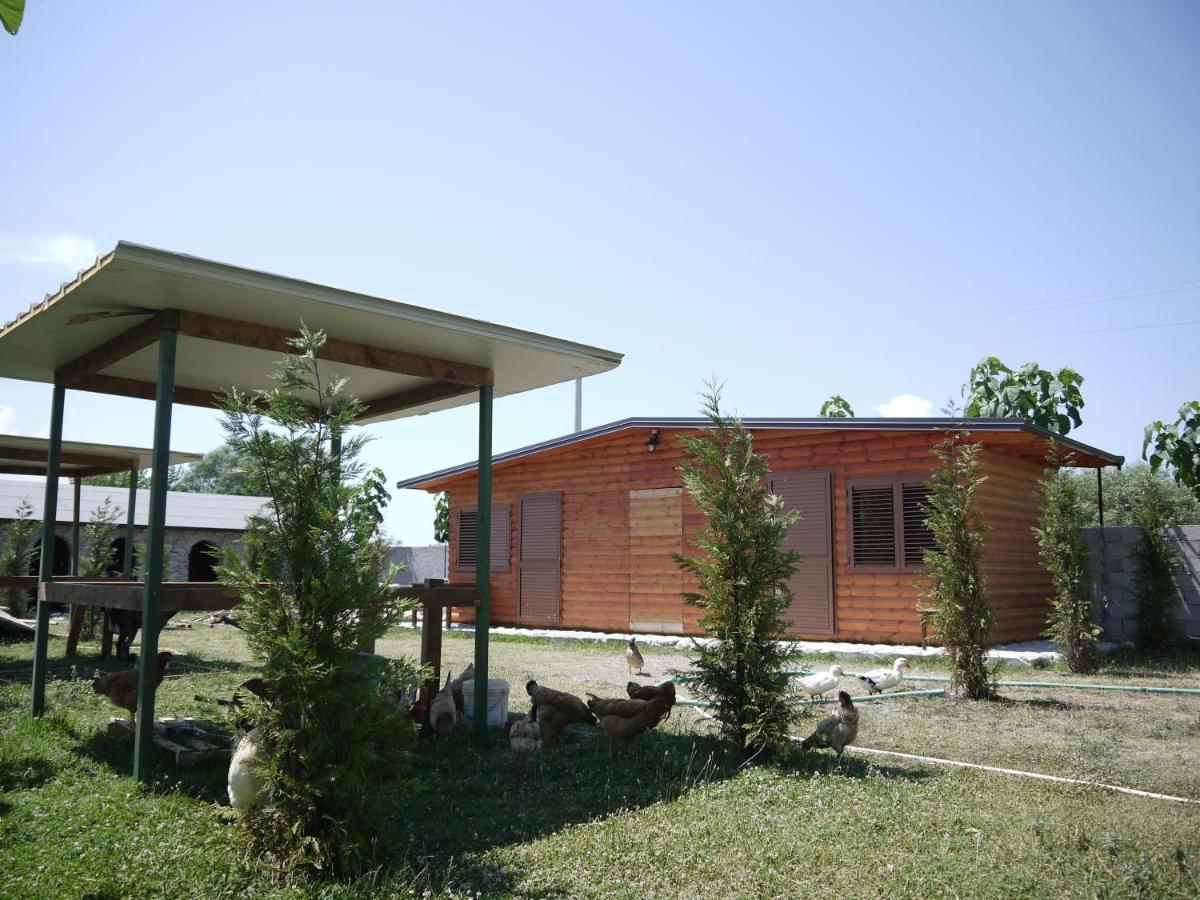 Windmill Shkodra Gesthouse Camping & Grill المظهر الخارجي الصورة