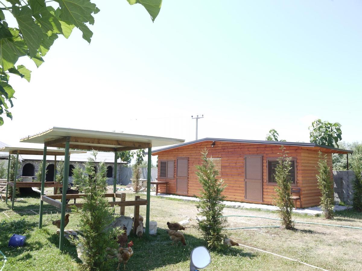 Windmill Shkodra Gesthouse Camping & Grill المظهر الخارجي الصورة