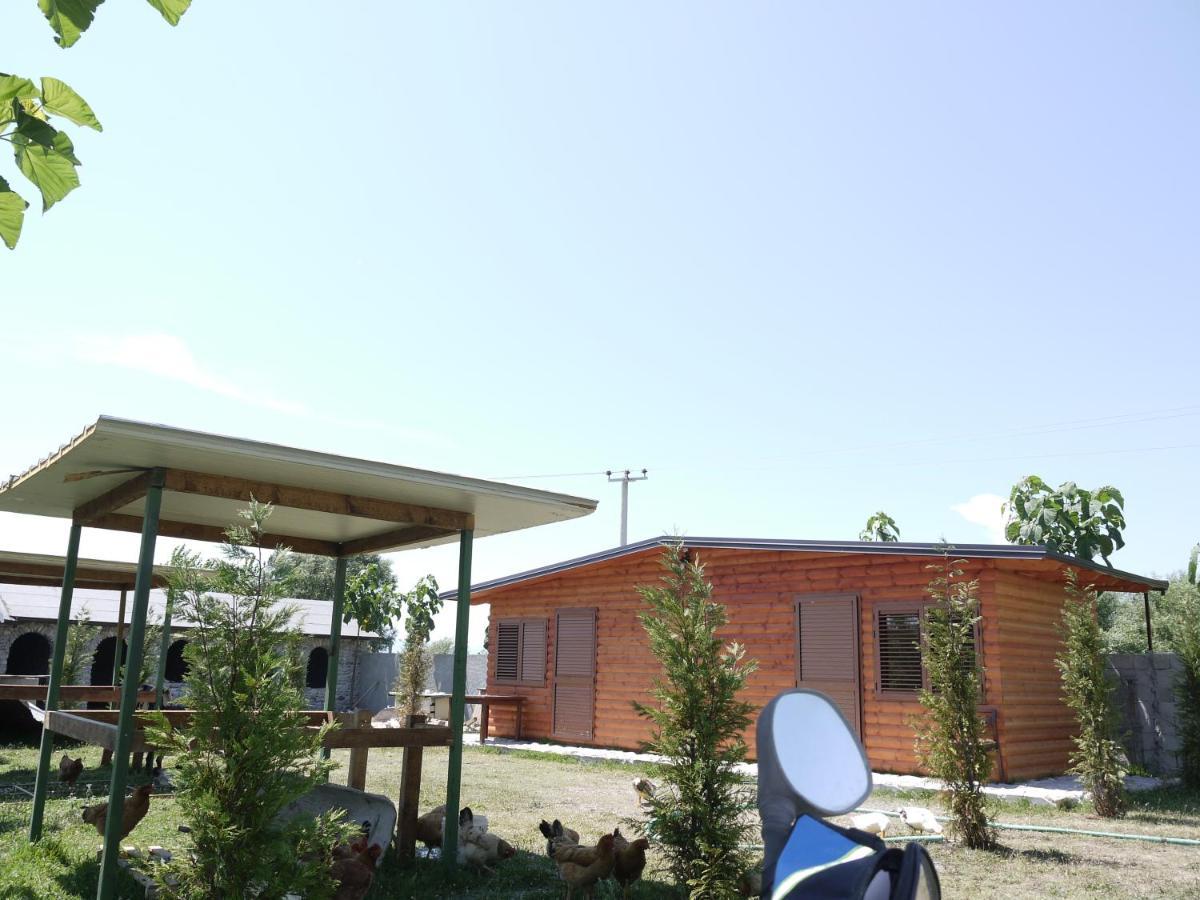 Windmill Shkodra Gesthouse Camping & Grill المظهر الخارجي الصورة