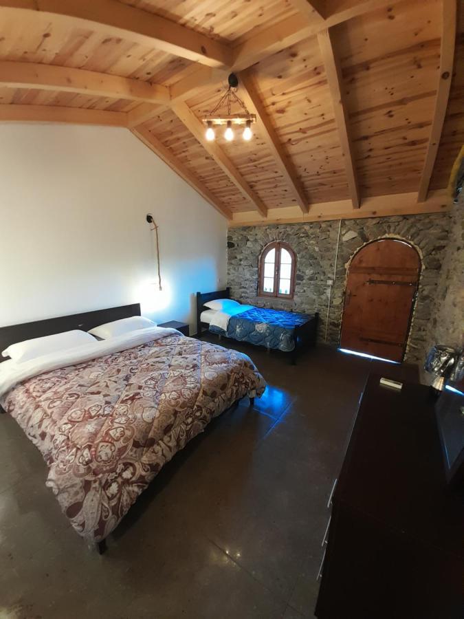 Windmill Shkodra Gesthouse Camping & Grill المظهر الخارجي الصورة